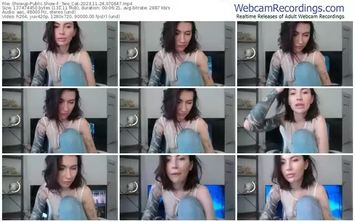showup-_two_cat-11-24-2023-07-06-47