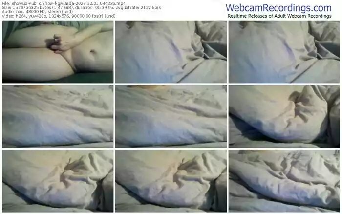 showup-gwiazda-12-01-2023-04-42-36