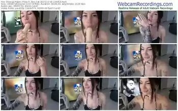 showup-_two_cat-12-04-2023-13-49-53