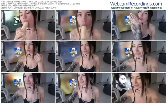 showup-_two_cat-12-04-2023-13-49-53