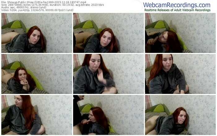 showup-little-fox1999-12-18-2023-18-37-47