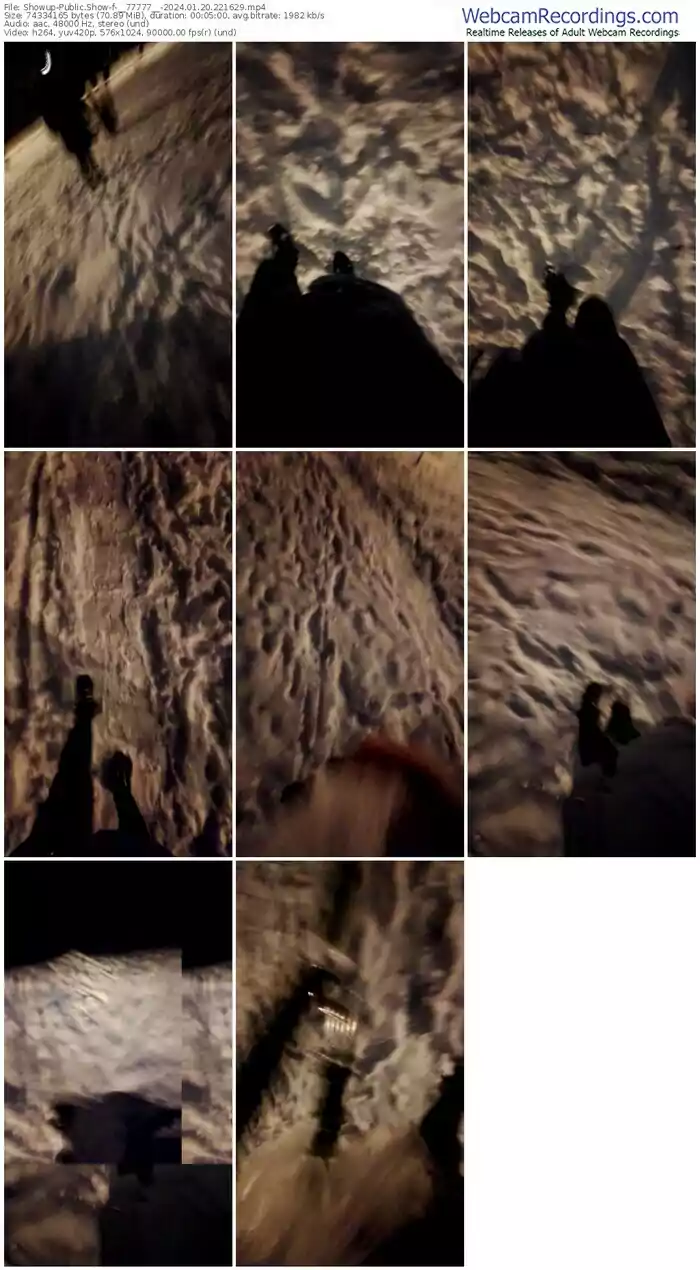 showup-__77777__-01-20-2024-22-16-29