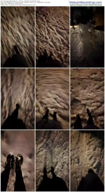 showup-__77777__-01-20-2024-23-04-27