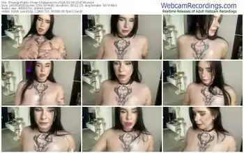 showup-habanerrro-02-04-2024-11-47-45