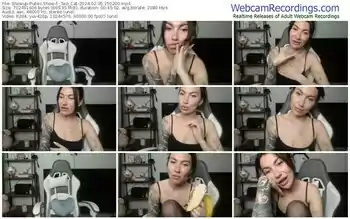 showup-_two_cat-02-05-2024-15-02-00