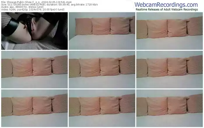 showup-_o_o_-02-05-2024-13-15-41