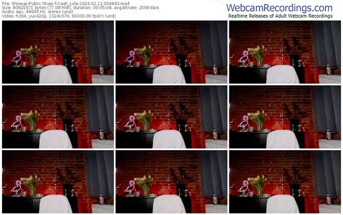 showup-cash_lola-02-12-2024-05-48-43