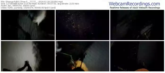 showup-__77777__-02-18-2024-23-10-56