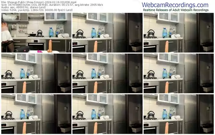 showup-mojo1-02-19-2024-03-18-36