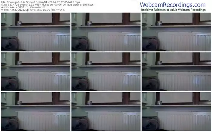 showup-dreamtits-02-22-2024-05-14-12