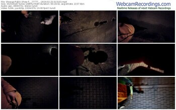 showup-__77777__-02-23-2024-01-31-03