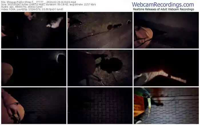 showup-__77777__-02-23-2024-01-31-03