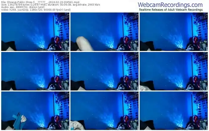 showup-__77777__-02-23-2024-03-45-41