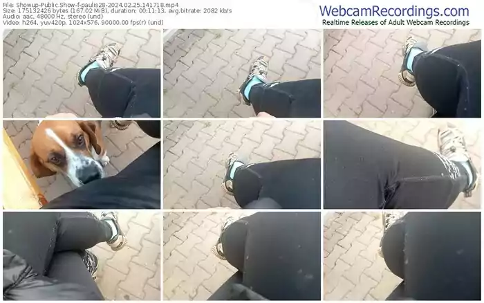 showup-paulis28-02-25-2024-14-17-18