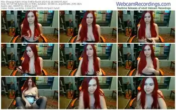 showup-little-fox99-02-28-2024-03-51-55