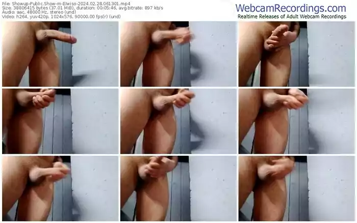 showup-elwiso-02-28-2024-06-13-01