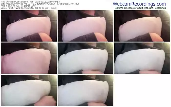 showup-_kat_-03-01-2024-02-24-48