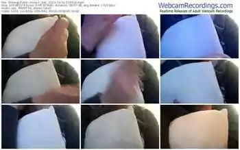 showup-_kat_-03-01-2024-02-40-18