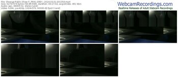 showup-_pani_grey_-03-01-2024-00-13-59
