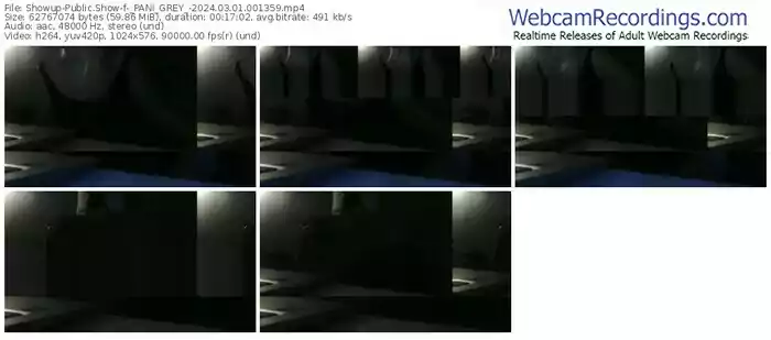 showup-_pani_grey_-03-01-2024-00-13-59