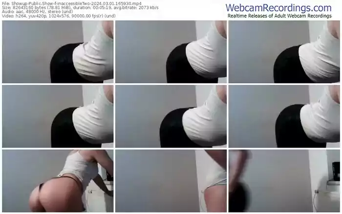 showup-inaccessibletwo-03-01-2024-16-59-30