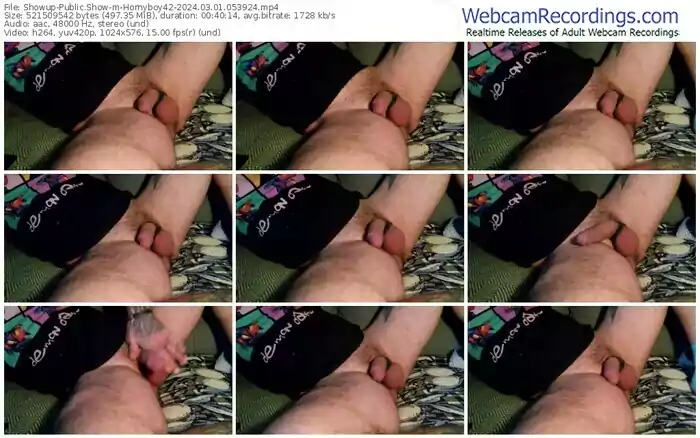 showup-hornyboy42-03-01-2024-05-39-24