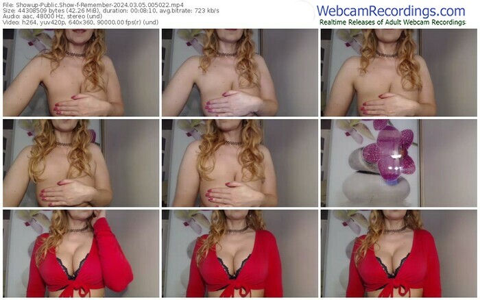 showup-remember-03-05-2024-00-50-22