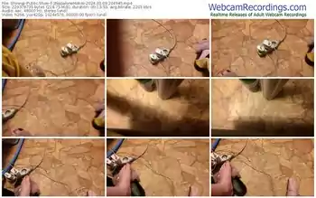 showup-2napalonemokre-03-09-2024-20-49-45