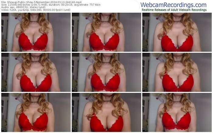 showup-remember-03-10-2024-04-41-46