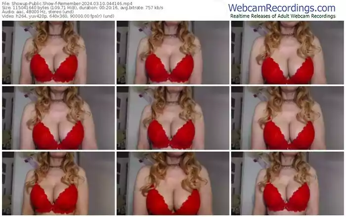 showup-remember-03-10-2024-04-41-46