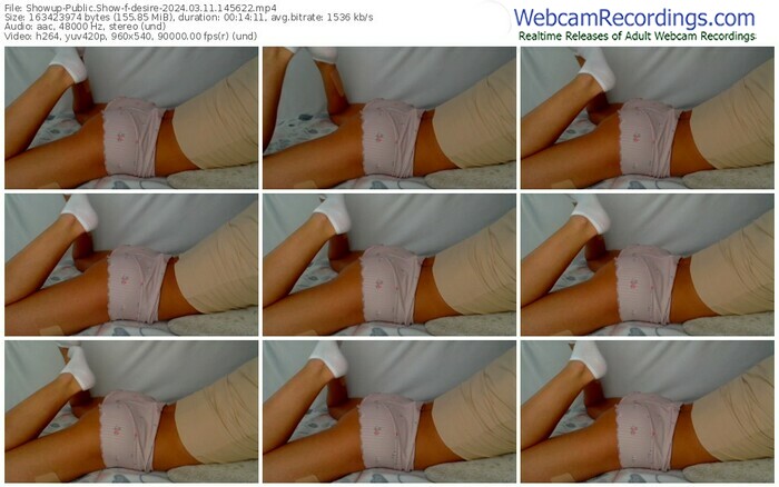 showup-desire-03-11-2024-14-56-22