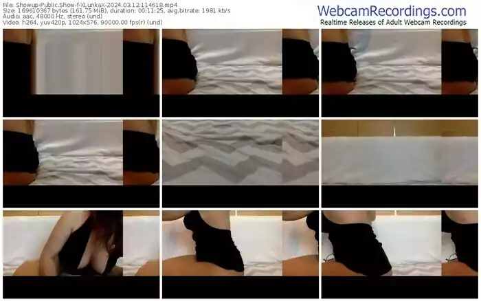 showup-xlunkax-03-12-2024-11-46-18