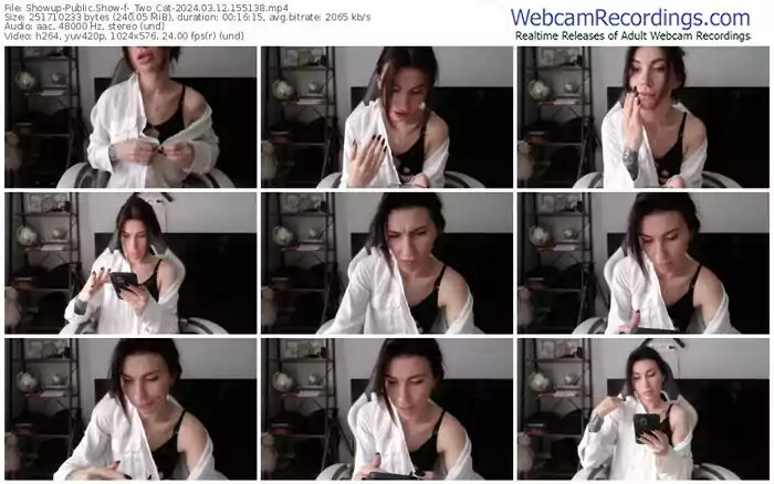 showup-_two_cat-03-12-2024-15-51-38