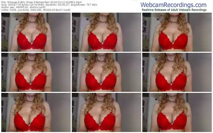 showup-remember-03-13-2024-02-28-52