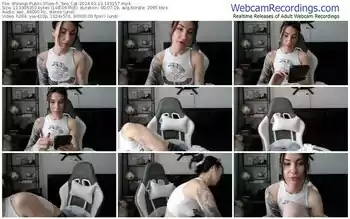 showup-_two_cat-03-13-2024-13-31-57