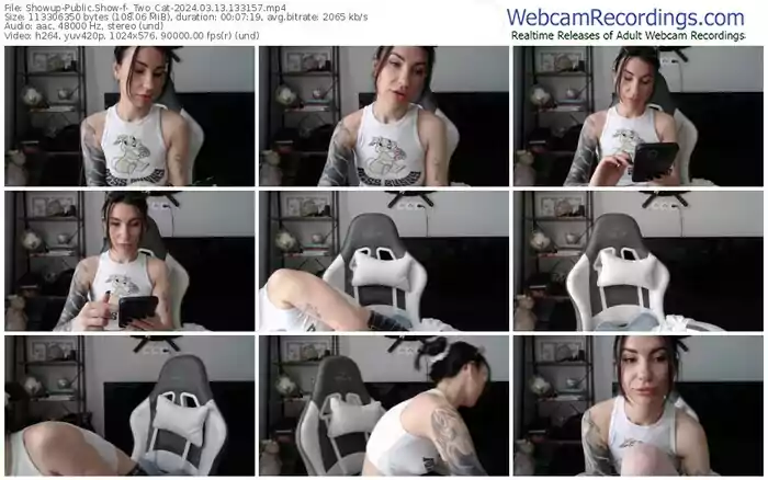 showup-_two_cat-03-13-2024-13-31-57