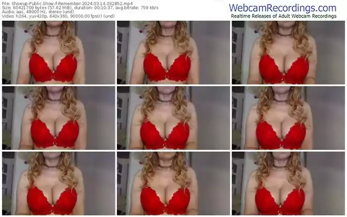 showup-remember-03-14-2024-03-28-52