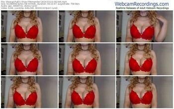 showup-remember-03-14-2024-04-23-46