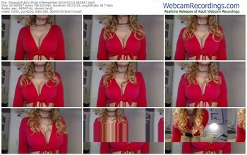 showup-remember-03-14-2024-04-48-47