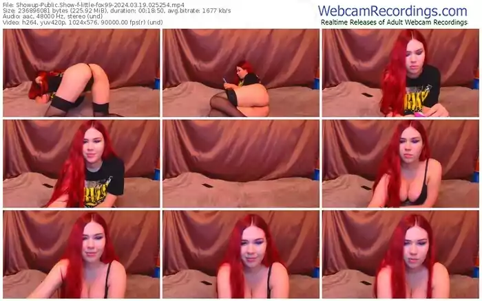 showup-little-fox99-03-19-2024-02-52-54