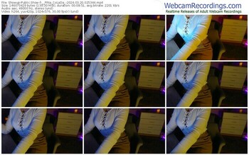 showup-__pina_colada_-03-20-2024-02-53-44