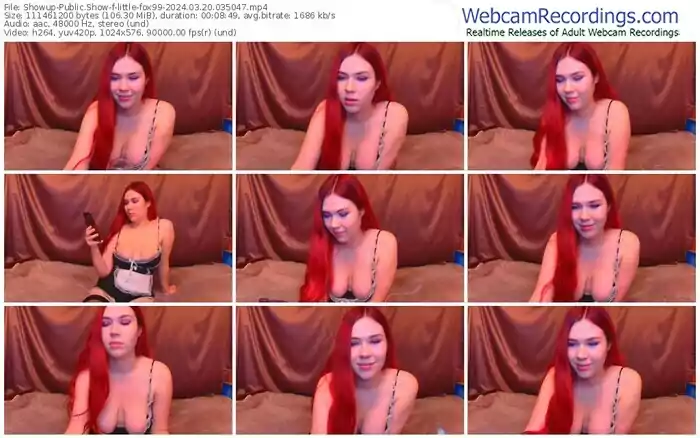 showup-little-fox99-03-20-2024-03-50-47