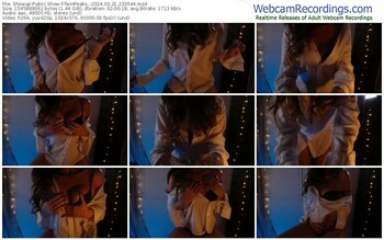 showup-twinpeaks_-03-21-2024-23-35-44