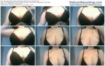showup-paniipies-03-21-2024-12-57-45