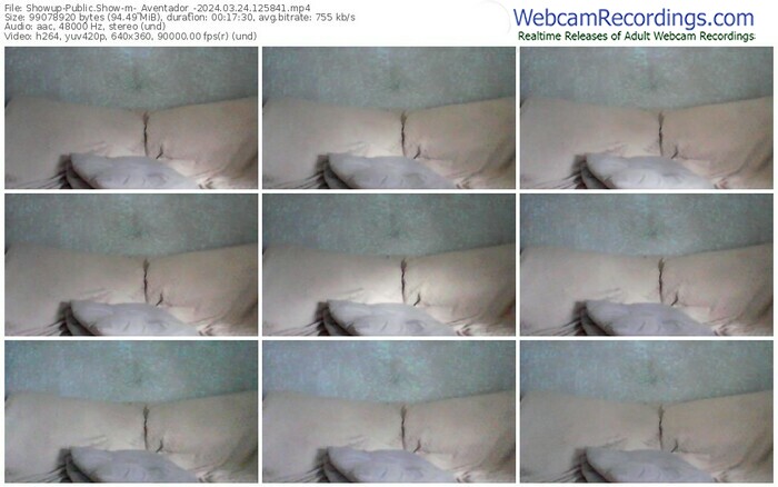 showup-_aventador_-03-24-2024-12-58-41