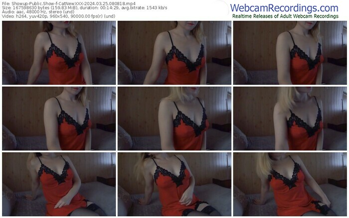 showup-catnewxxx-03-25-2024-08-08-18