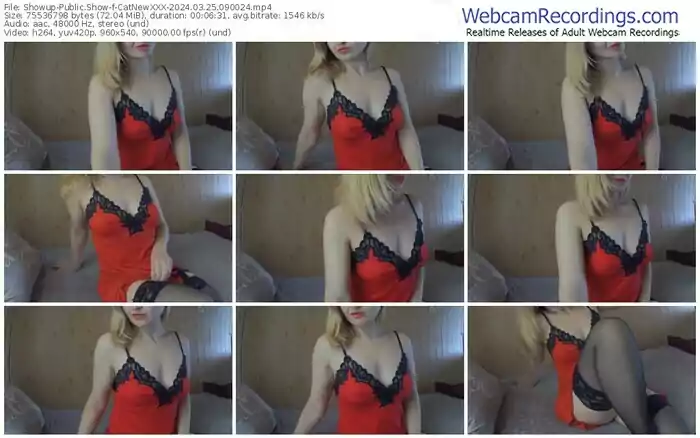 showup-catnewxxx-03-25-2024-09-00-24