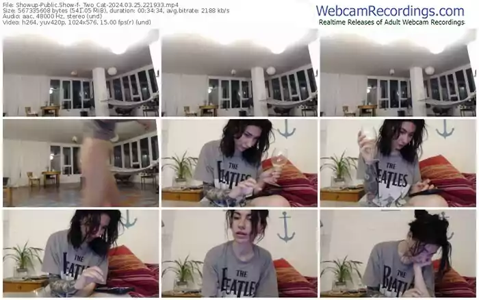 showup-_two_cat-03-25-2024-22-19-33