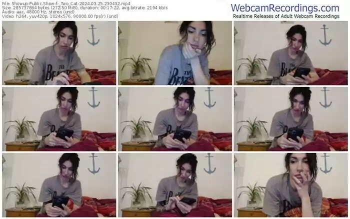 showup-_two_cat-03-25-2024-23-04-32