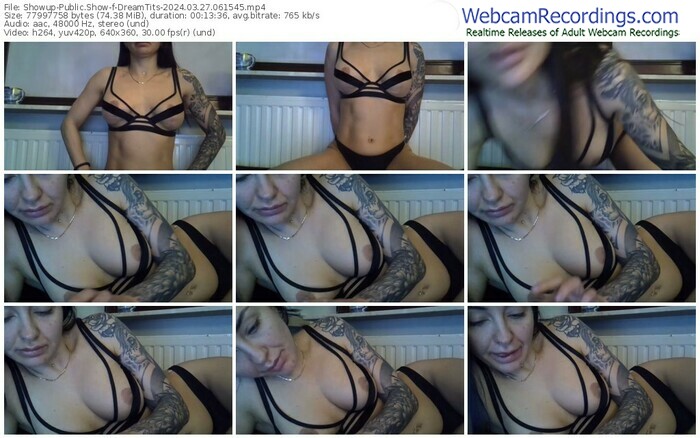 showup-dreamtits-03-27-2024-06-15-45